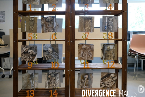 Exposition et atelier éducatif pour enfants durant le festival  Sciences infuses   Archéologie, un passé retrouvé   à la bibliothèque François Mitterand du Pré-Saint-Gervais