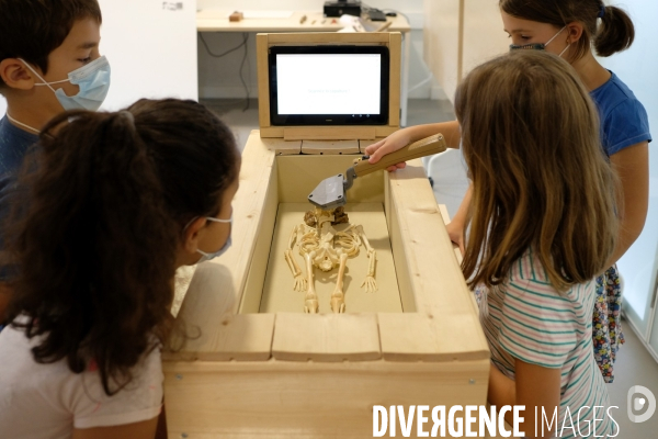 Exposition et atelier éducatif pour enfants durant le festival  Sciences infuses   Archéologie, un passé retrouvé   à la bibliothèque François Mitterand du Pré-Saint-Gervais