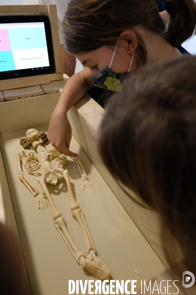 Exposition et atelier éducatif pour enfants durant le festival  Sciences infuses   Archéologie, un passé retrouvé   à la bibliothèque François Mitterand du Pré-Saint-Gervais