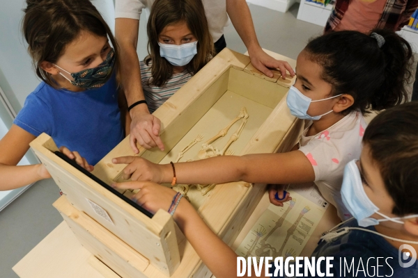 Exposition et atelier éducatif pour enfants durant le festival  Sciences infuses   Archéologie, un passé retrouvé   à la bibliothèque François Mitterand du Pré-Saint-Gervais