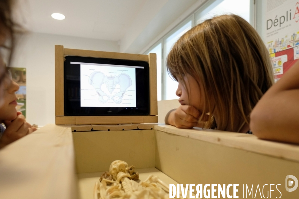 Exposition et atelier éducatif pour enfants durant le festival  Sciences infuses   Archéologie, un passé retrouvé   à la bibliothèque François Mitterand du Pré-Saint-Gervais