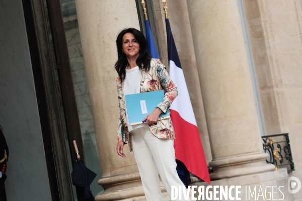 Le conseil des ministres du gouvernement borne