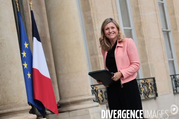 Le conseil des ministres du gouvernement borne