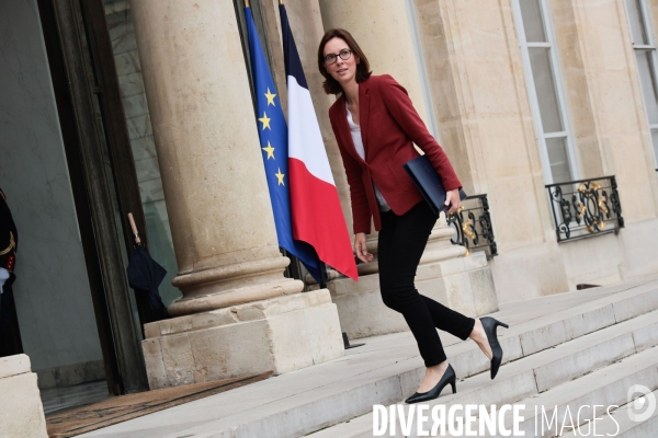 Le conseil des ministres du gouvernement borne