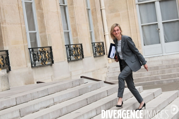 Le conseil des ministres du gouvernement borne