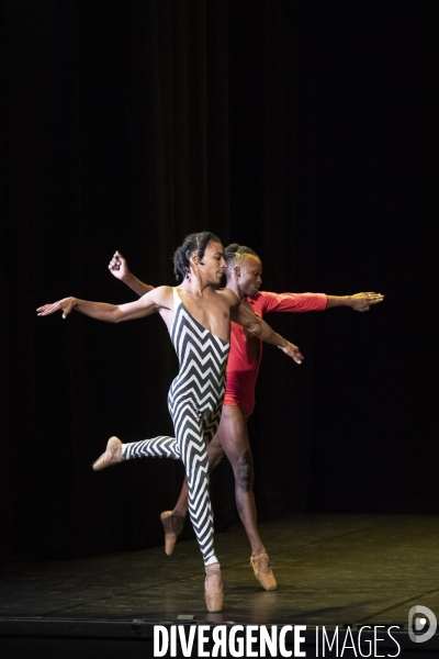 ROOMMATES - GRIME BALLET (DANSER PARCE QU ON NE PEUT PAS PARLER AUX ANIMAUX) - Peeping Tom - Cecilia Bengolea  & François Chaignaud - Ballet national de Marseille