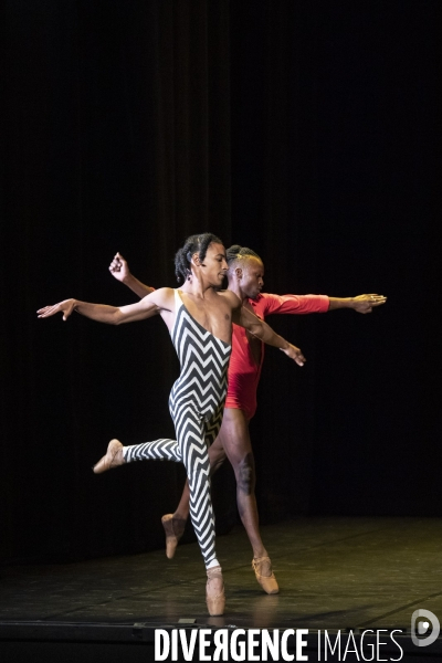 ROOMMATES - GRIME BALLET (DANSER PARCE QU ON NE PEUT PAS PARLER AUX ANIMAUX) - Peeping Tom - Cecilia Bengolea  & François Chaignaud - Ballet national de Marseille