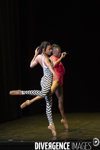 ROOMMATES - GRIME BALLET (DANSER PARCE QU ON NE PEUT PAS PARLER AUX ANIMAUX) - Peeping Tom - Cecilia Bengolea  & François Chaignaud - Ballet national de Marseille