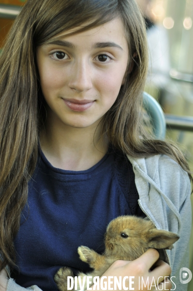 L enfant et les animaux : Les NACS. : le lapin. Nouveaux animaux de compagnie. Child and animals: new pets.