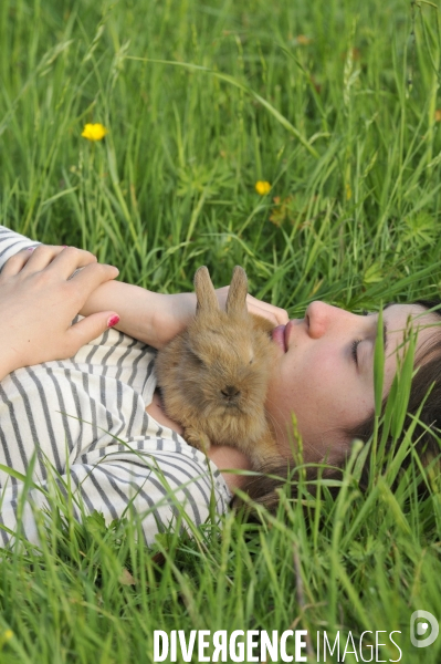 L enfant et les animaux : Les NACS. : le lapin. Nouveaux animaux de compagnie. Child and animals: new pets.