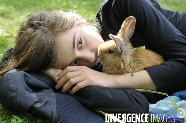 L enfant et les animaux : Les NACS. : le lapin. Nouveaux animaux de compagnie. Child and animals: new pets.