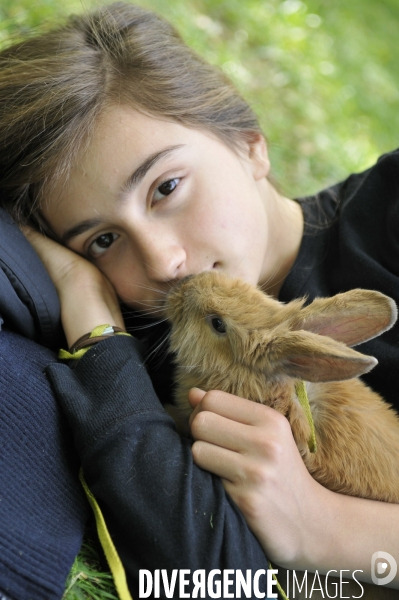 L enfant et les animaux : Les NACS. : le lapin. Nouveaux animaux de compagnie. Child and animals: new pets.