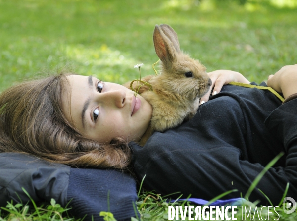 L enfant et les animaux : Les NACS. : le lapin. Nouveaux animaux de compagnie. Child and animals: new pets.