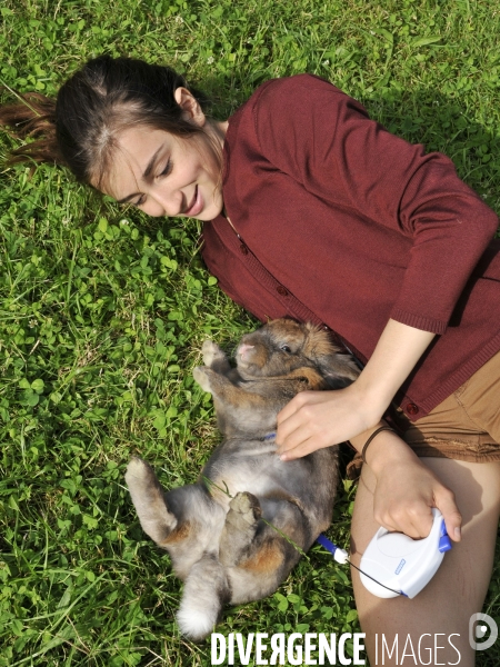 L enfant et les animaux : Les NACS. : le lapin. Nouveaux animaux de compagnie. Child and animals: new pets.