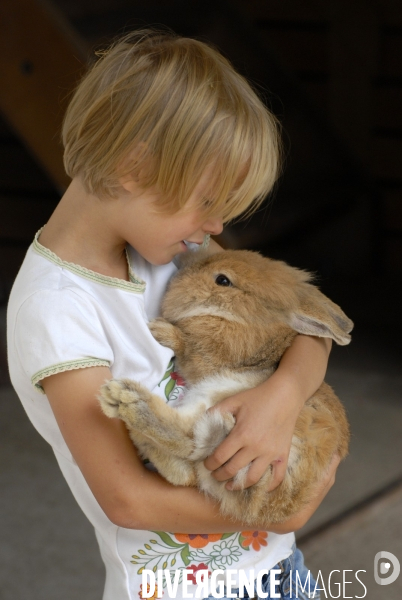 L enfant et les animaux : Les NACS. : le lapin. Nouveaux animaux de compagnie. Child and animals: new pets.