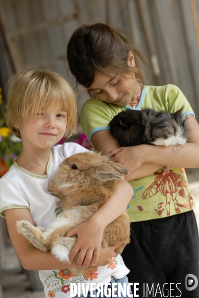 L enfant et les animaux : Les NACS. : le lapin. Nouveaux animaux de compagnie. Child and animals: new pets.