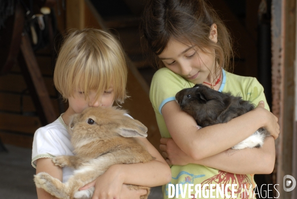 L enfant et les animaux : Les NACS. : le lapin. Nouveaux animaux de compagnie. Child and animals: new pets.