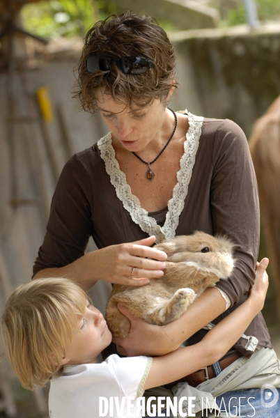 L enfant et les animaux : Les NACS. : le lapin. Nouveaux animaux de compagnie. Child and animals: new pets.