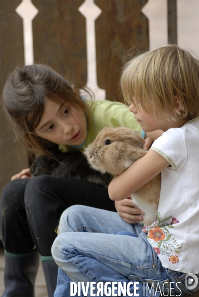 L enfant et les animaux : Les NACS. : le lapin. Nouveaux animaux de compagnie. Child and animals: new pets.