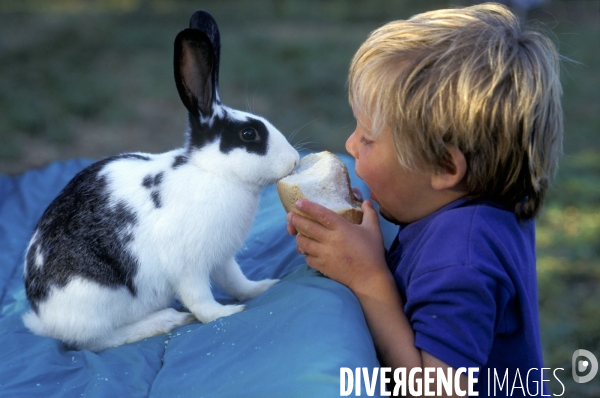 L enfant et les animaux : Les NACS. : le lapin. Nouveaux animaux de compagnie. Child and animals: new pets.