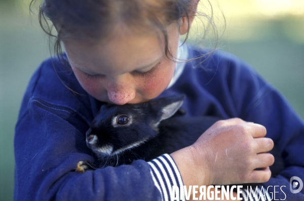 L enfant et les animaux : Les NACS. : le lapin. Nouveaux animaux de compagnie. Child and animals: new pets.