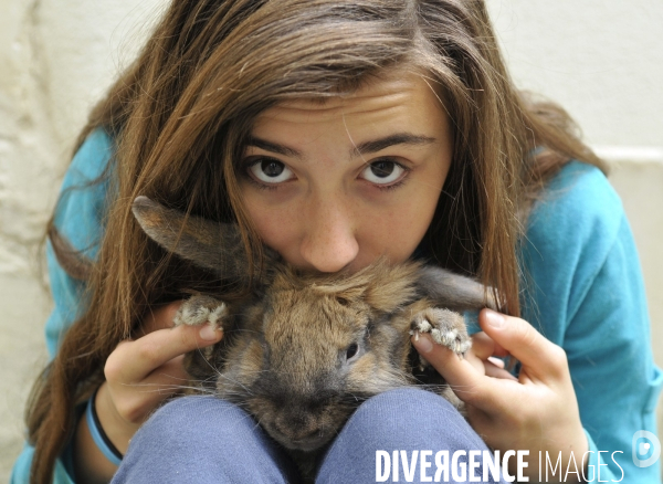 L enfant et les animaux : Les NACS. : le lapin. Nouveaux animaux de compagnie. Child and animals: new pets.