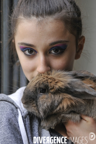 L enfant et les animaux : Les NACS. : le lapin. Nouveaux animaux de compagnie. Child and animals: new pets.
