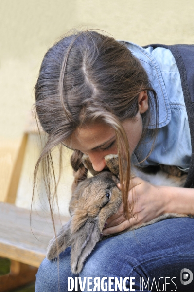 L enfant et les animaux : Les NACS. : le lapin. Nouveaux animaux de compagnie. Child and animals: new pets.