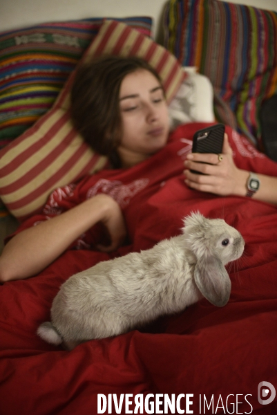 L enfant et les animaux : Les NACS. : le lapin. Nouveaux animaux de compagnie. Child and animals: new pets.