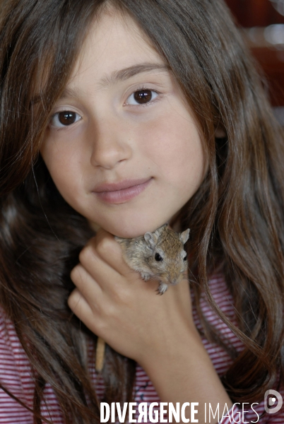 L enfant et les animaux : Les NACS, la gerbille. Nouveaux animaux de compagnie. Child and animals: new pets.