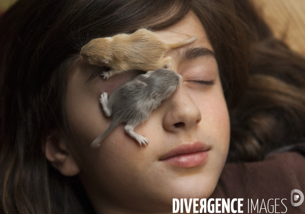 L enfant et les animaux : Les NACS, la gerbille. Nouveaux animaux de compagnie. Child and animals: new pets.