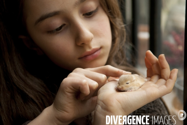 L enfant et les animaux : Les NACS, la gerbille. Nouveaux animaux de compagnie. Child and animals: new pets.