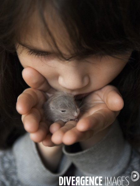 L enfant et les animaux : Les NACS, la gerbille. Nouveaux animaux de compagnie. Child and animals: new pets.
