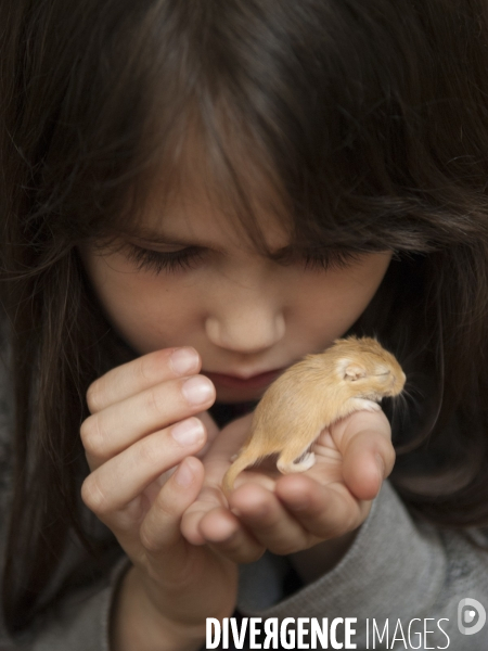 L enfant et les animaux : Les NACS, la gerbille. Nouveaux animaux de compagnie. Child and animals: new pets.