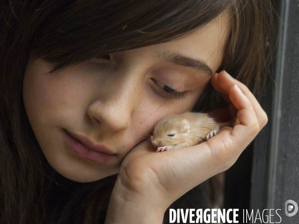 L enfant et les animaux : Les NACS, la gerbille. Nouveaux animaux de compagnie. Child and animals: new pets.