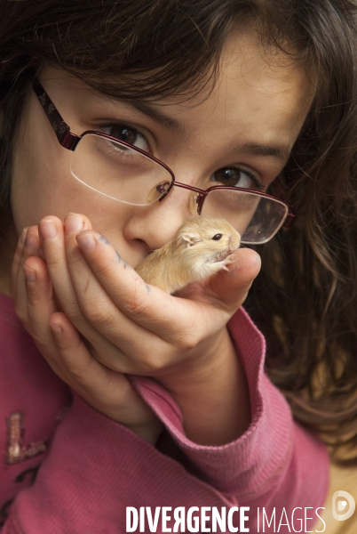 L enfant et les animaux : Les NACS, la gerbille. Nouveaux animaux de compagnie. Child and animals: new pets.