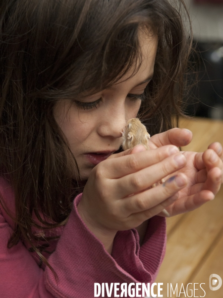 L enfant et les animaux : Les NACS, la gerbille. Nouveaux animaux de compagnie. Child and animals: new pets.