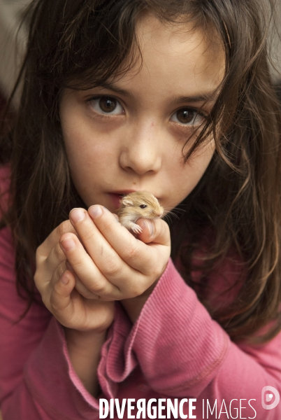 L enfant et les animaux : Les NACS, la gerbille. Nouveaux animaux de compagnie. Child and animals: new pets.