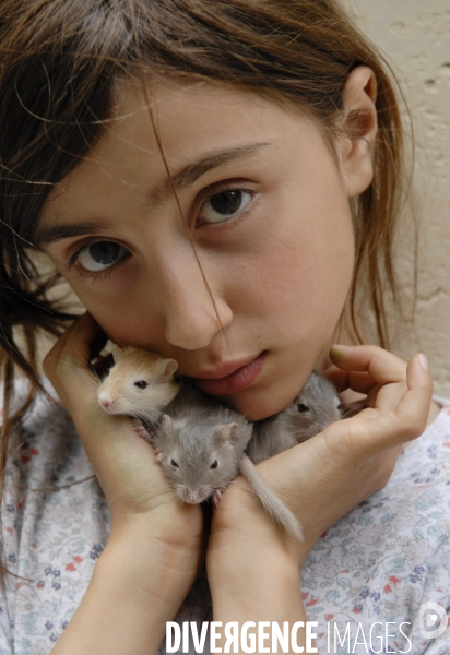 L enfant et les animaux : Les NACS, la gerbille. Nouveaux animaux de compagnie. Child and animals: new pets.