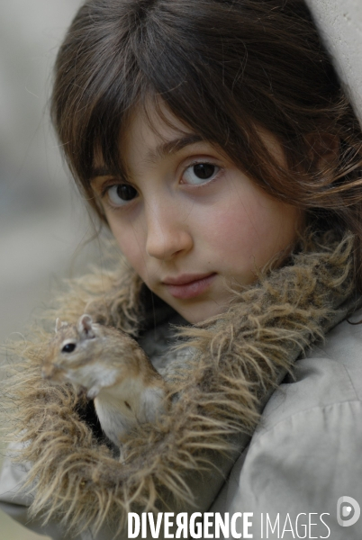 L enfant et les animaux : Les NACS, la gerbille. Nouveaux animaux de compagnie. Child and animals: new pets.