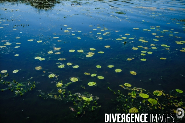 Etang de Leon et reserve naturelle du courant d Huchet