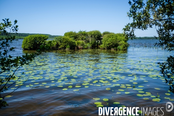 Etang de Leon et reserve naturelle du courant d Huchet