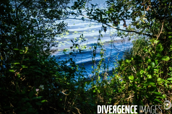 Etang de Leon et reserve naturelle du courant d Huchet