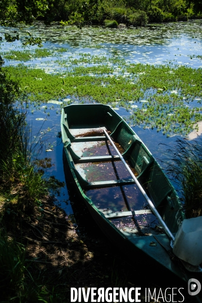 Etang de Leon et reserve naturelle du courant d Huchet