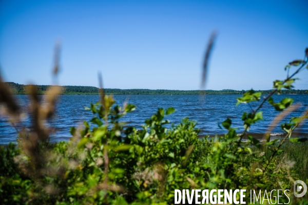 Etang de Leon et reserve naturelle du courant d Huchet