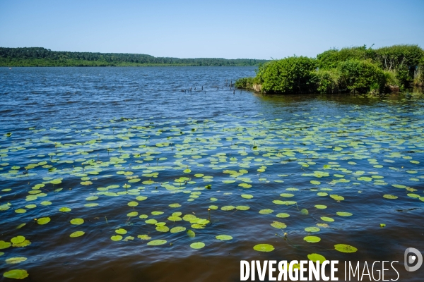 Etang de Leon et reserve naturelle du courant d Huchet