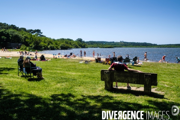 Etang de Leon et reserve naturelle du courant d Huchet