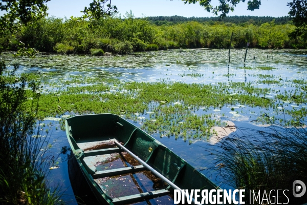 Etang de Leon et reserve naturelle du courant d Huchet
