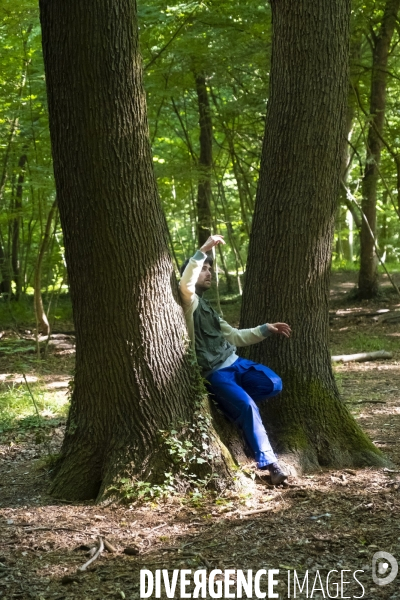 Listen here: these woods de daniel linehan