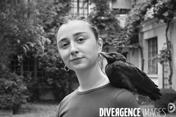 Animal. Sauvetage d une jeune corneille trouvée seule et bléssée. Crow bird rescue